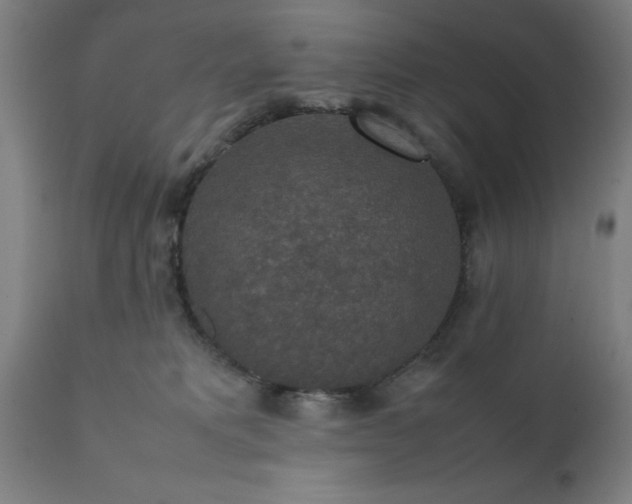 X0000111810229200907301240
