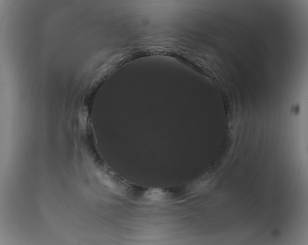 X0000111810231200907301240