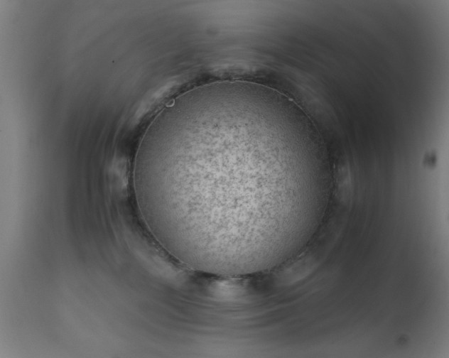 X0000111810232200907301240