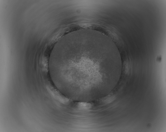 X0000111810234200907301240