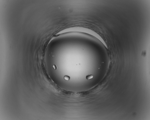 X0000111810235200907301240