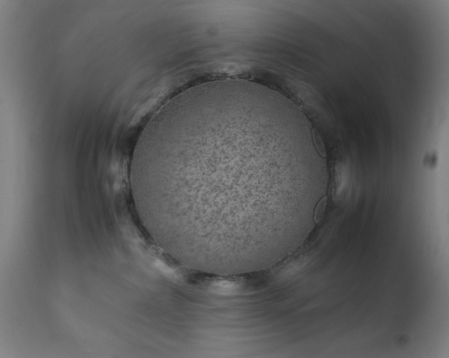 X0000111810236200907301240