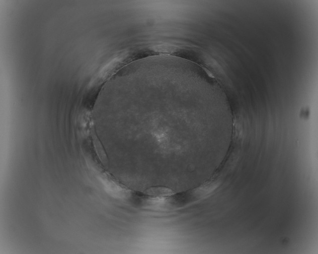 X0000111810237200907301240