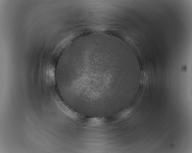 X0000111810238200907301240