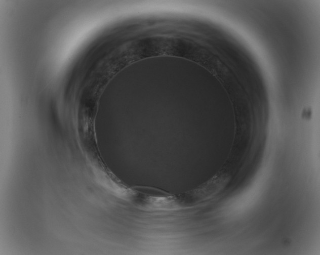 X0000111810239200907301240