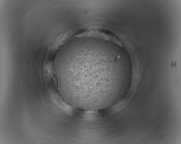 X0000111810240200907301240