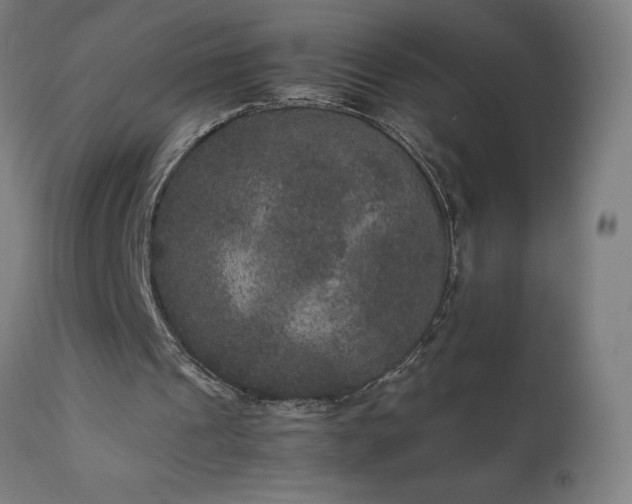 X0000111810241200907301239