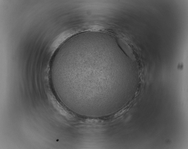 X0000111810242200907301239