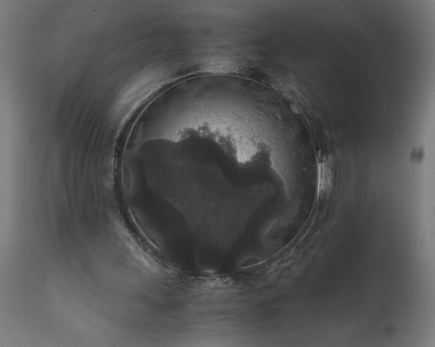 X0000111810243200907301239