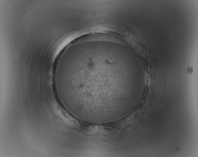 X0000111810244200907301239