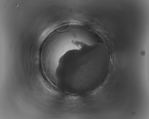 X0000111810247200907301239
