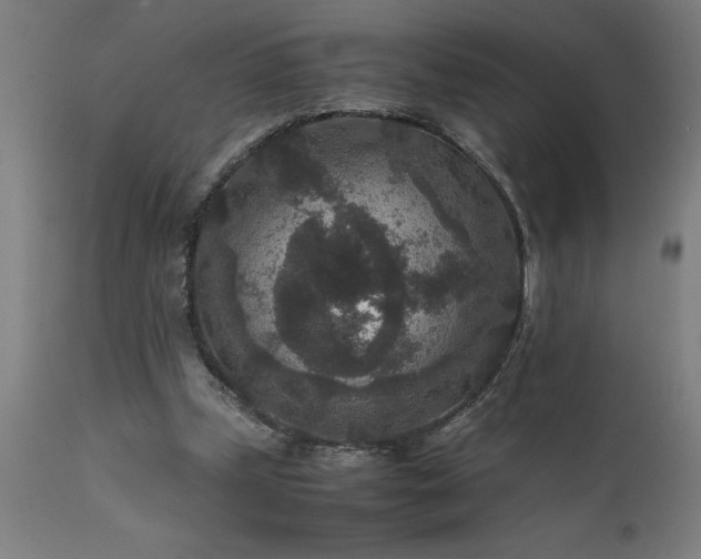 X0000111810249200907301240