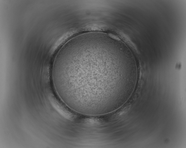 X0000111810250200907301240