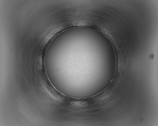 X0000111810251200907301240