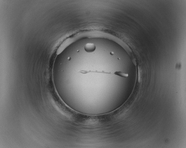 X0000111810252200907301240