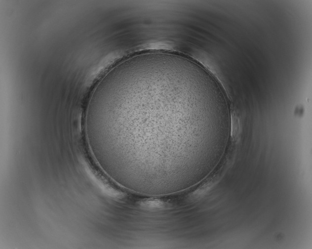 X0000111810253200907301240