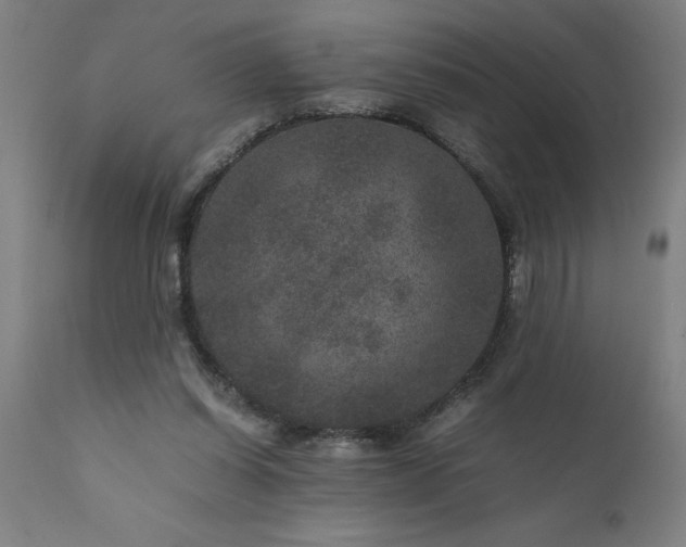 X0000111810254200907301240