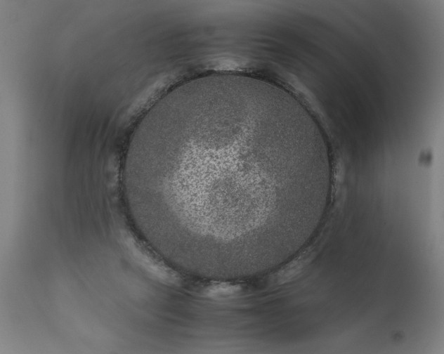 X0000111810257200907301240