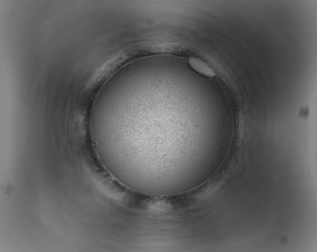 X0000111810258200907301240