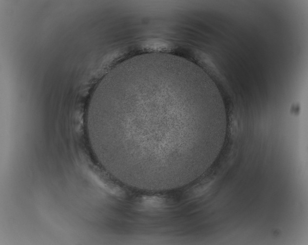 X0000111810259200907301240