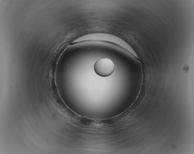X0000111810260200907301240