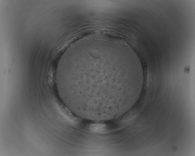 X0000111810266200907301240