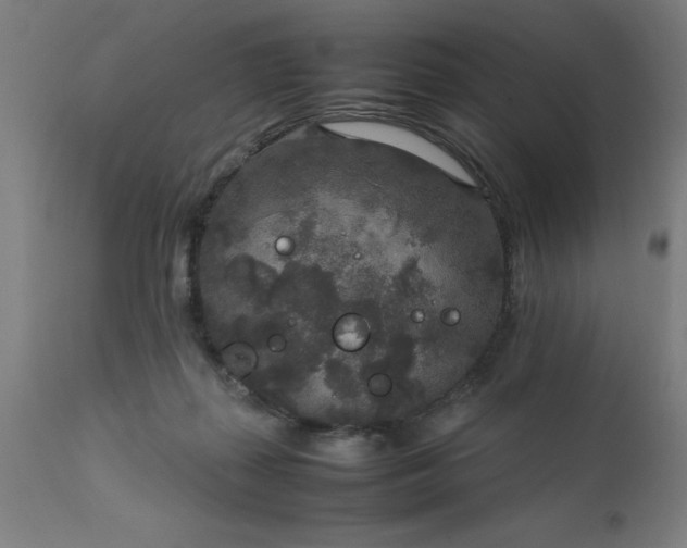 X0000111810267200907301240