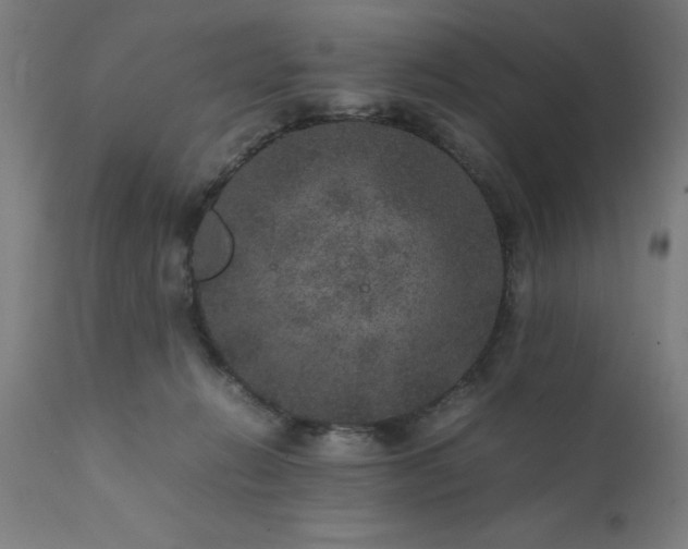 X0000111810270200907301240