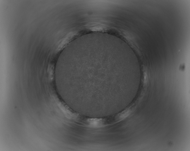 X0000111810273200907301240