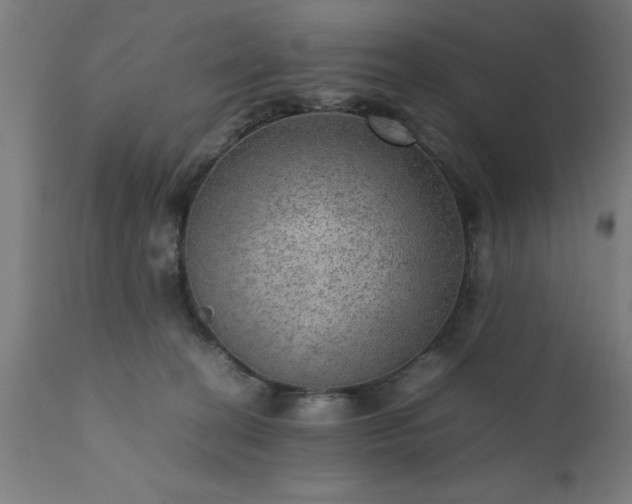 X0000111810274200907301240