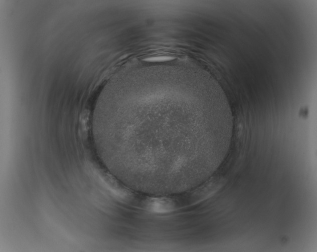 X0000111810275200907301240