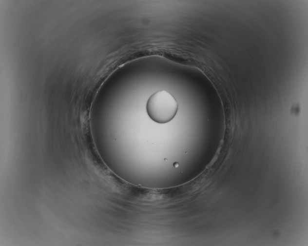 X0000111810276200907301240