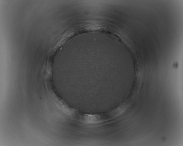 X0000111810277200907301240