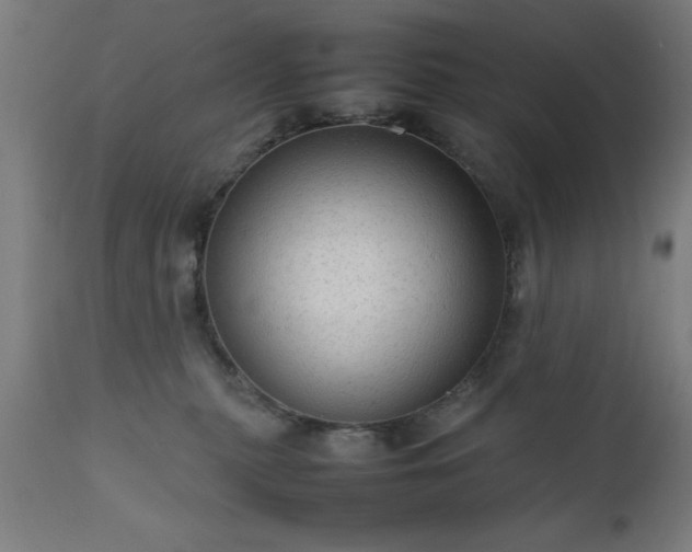 X0000111810279200907301240