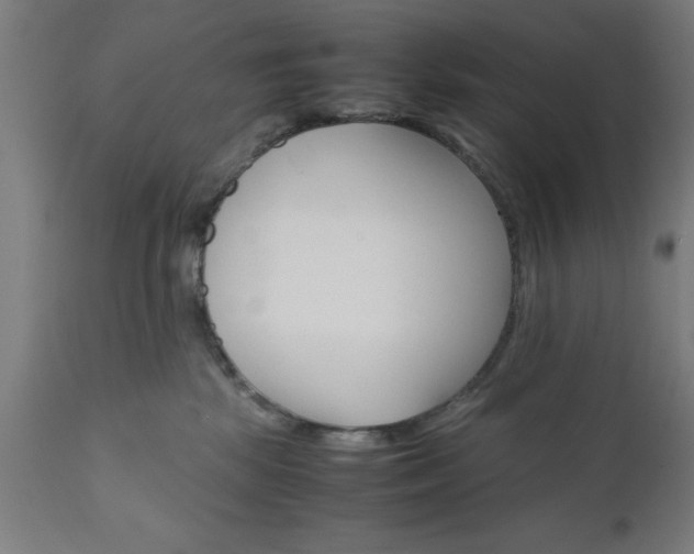 X0000111810281200907301240