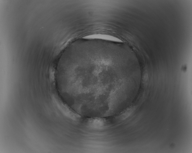 X0000111810282200907301240