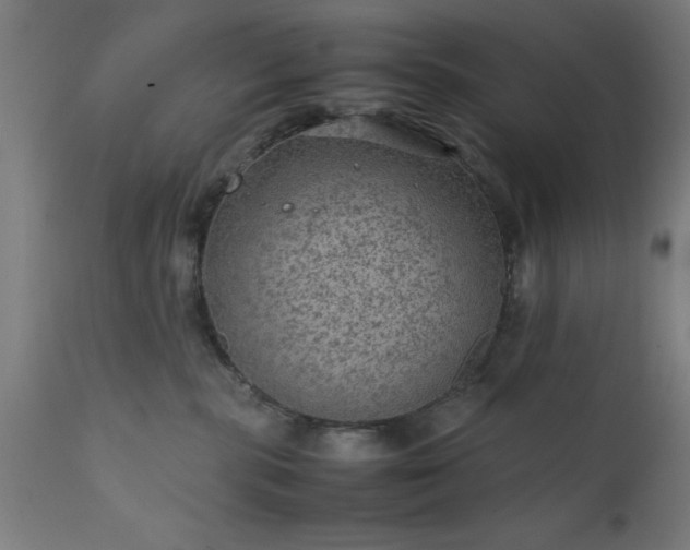X0000111810283200907301240