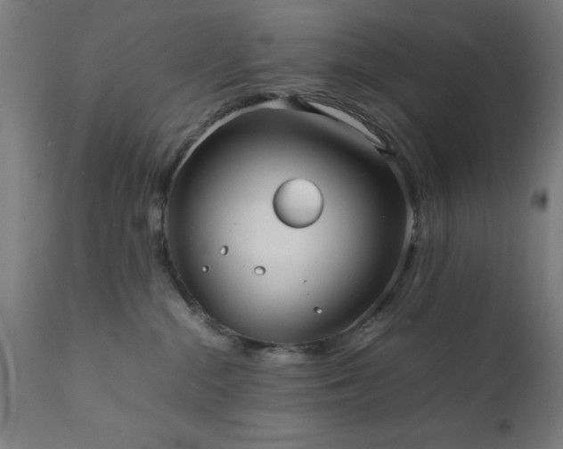 X0000111810284200907301240