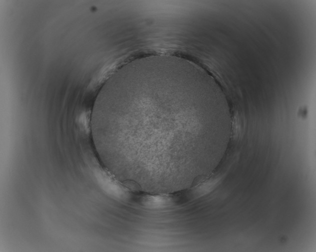 X0000111810286200907301240