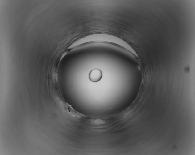 X0000111810287200907301240