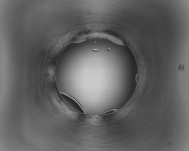 X0000111810288200907301240