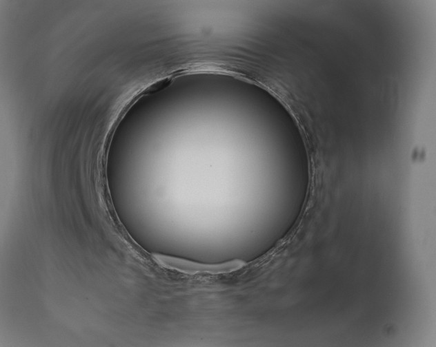 X0000111810289200907301239
