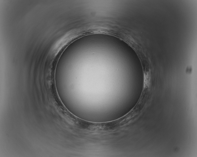 X0000111810291200907301239