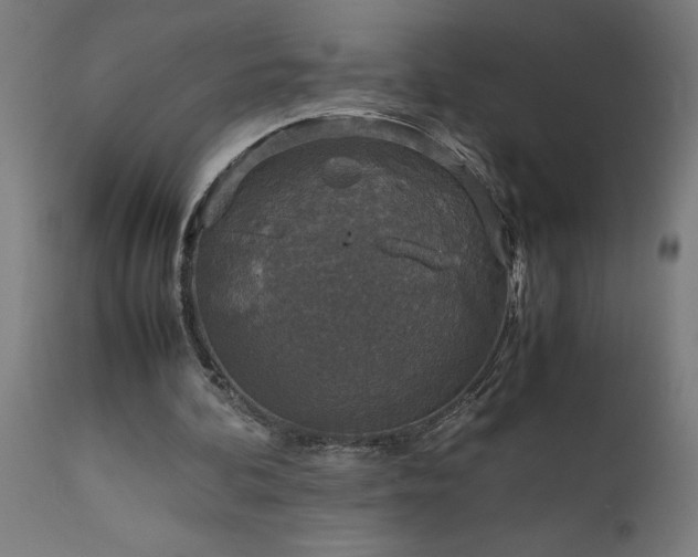 X0000111810292200907301239