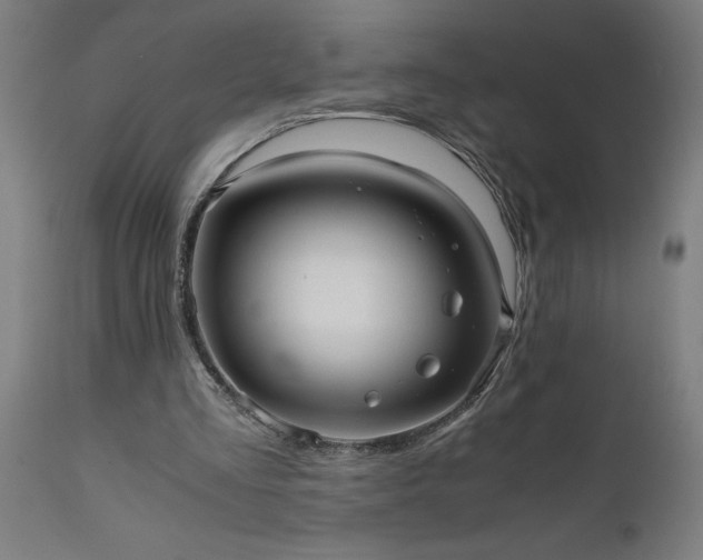 X0000111810293200907301239