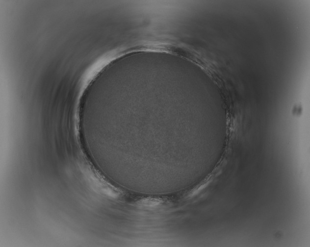 X0000111810294200907301239