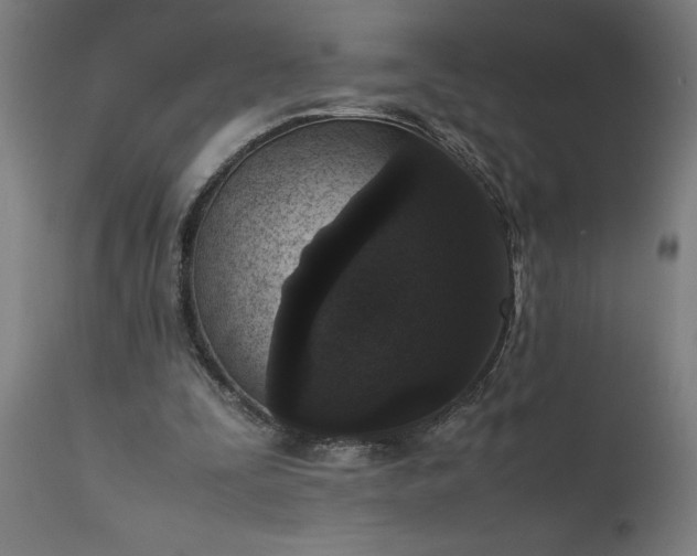 X0000111810295200907301239