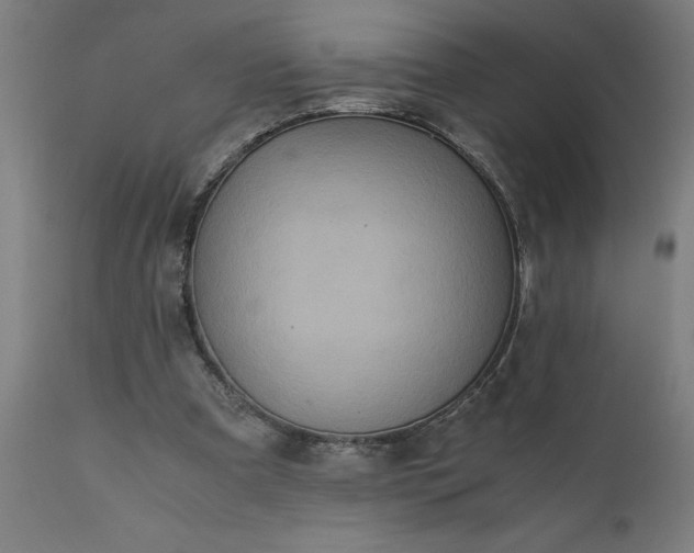 X0000111810297200907301239