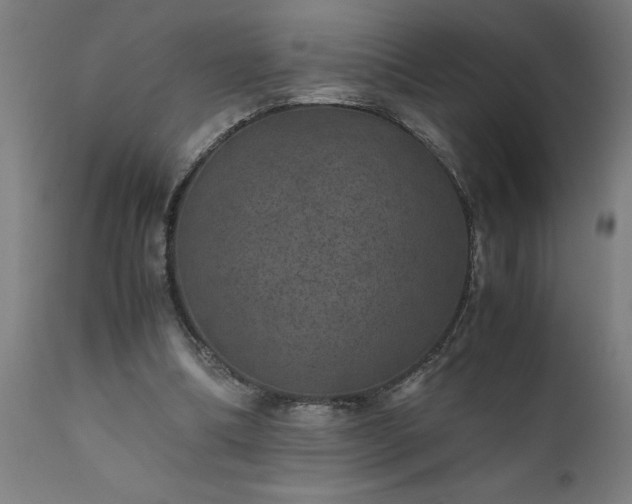 X0000111810298200907301239