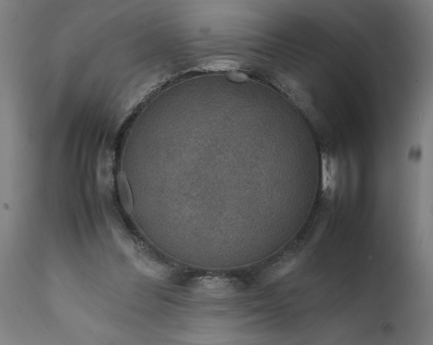 X0000111810300200907301239
